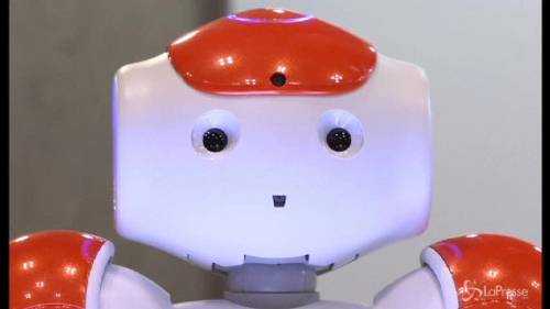 Fiera del robot a Tokyo: giochi, infermieri e cuccioli del futuro
