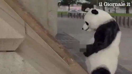 Lo spot che educa i turisti e non fare la pipì per strada