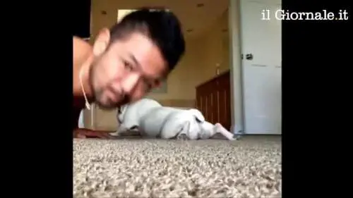 Cane fa piegamenti con il padrone