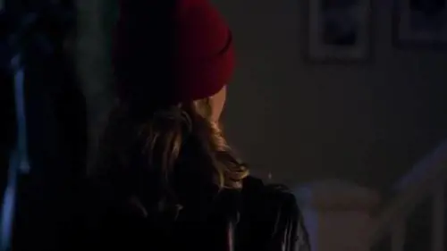 Lo spot a luci rosse del ministero dell'Ambiente tedesco 