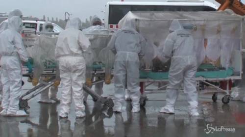 L'ebola sbarca a Roma