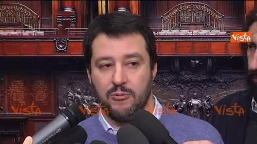 Salvini: "Napolitano reggi coda di Renzi"