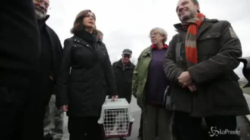 Boldrini porta il gatto alla Festa degli animali