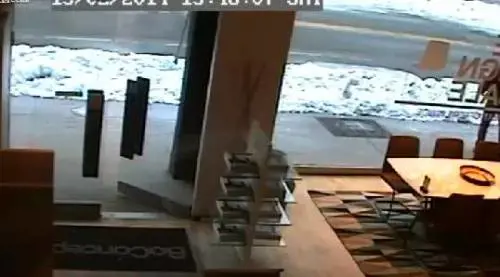 Vicenza, steso da passante