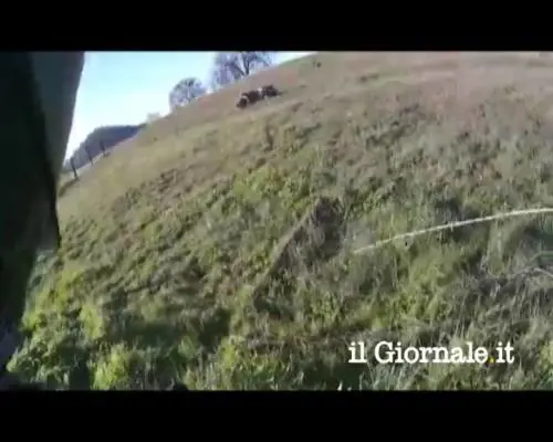 Evita incidente frontale ma vola fuori strada