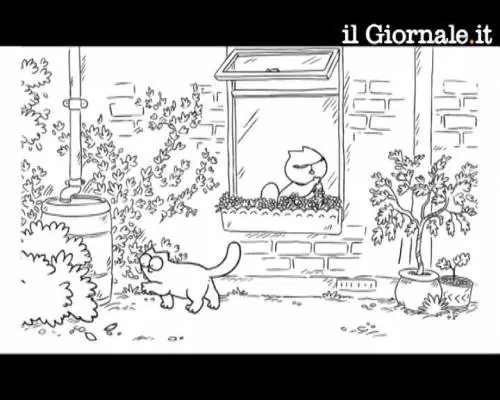 San Valentino, ecco il video più cliccato