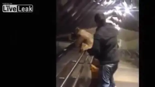 Fanno sesso in metro con un bimbo nel marsupio