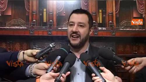 Salvini: "Vedrò Mattarella per parlare di clandestini"