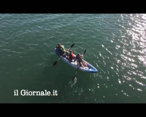 Un leone marino chiede un passaggio sul kayak