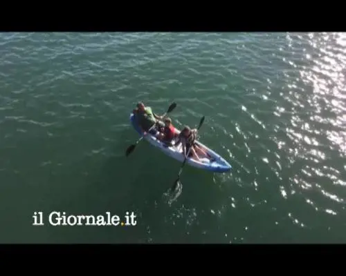 Un leone marino chiede un passaggio sul kayak