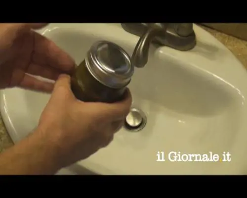 Mangereste qualcosa con questo aspetto?