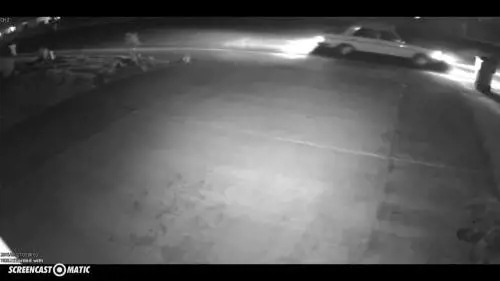 Cerca di rubare una pianta ma finisce male
