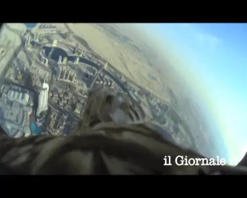 Dubai, un'aquila con telecamera lanciata da un grattacielo