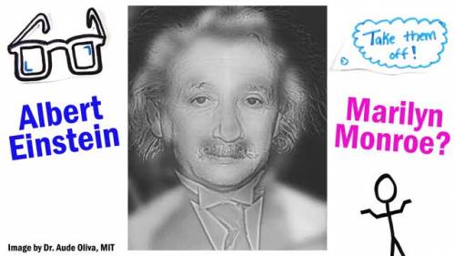 Vedete Albert Einstein o Marylin Monroe?