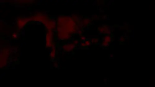 Favilla, luce nella scatola nera 