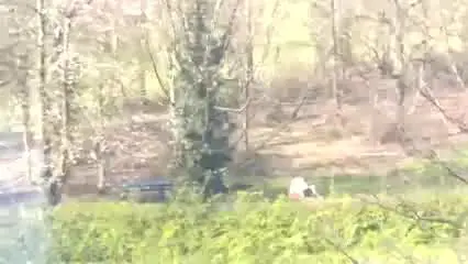 Sesso al parco davanti agli uffici affollati