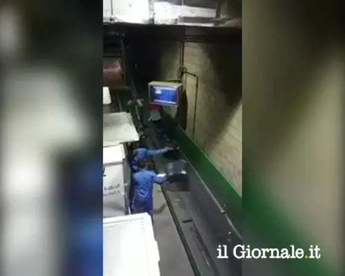 Ecco come vengono scaricati i vostri bagagli all'aeroporto