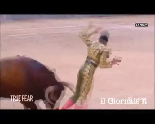 Corrida finisce nel sangue. Toro incorna il matador