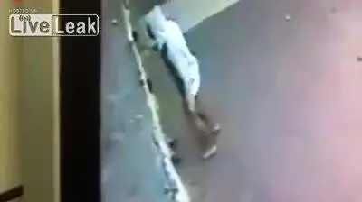 Africano prova a violentare una donna, ma arriva un cane e la salva