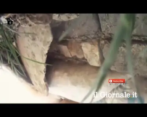 Combattente dell'Isis riprende la propria morte con una telecamera GoPro