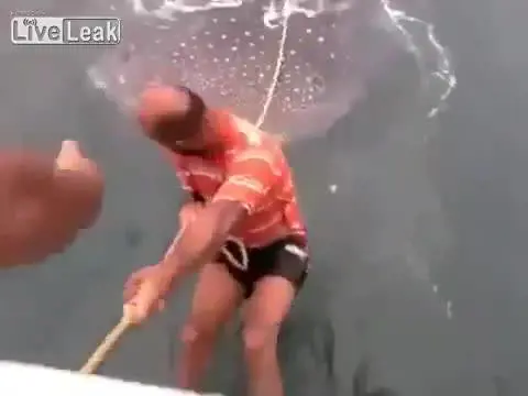 Fanno surf su uno squalo balena