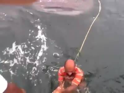 Due uomini surfano su uno squalo balena: il video choc