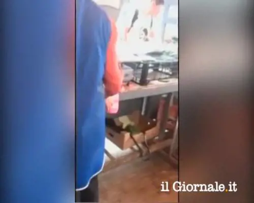 Bilance truccate, occhio a non farvi fregare al mercato