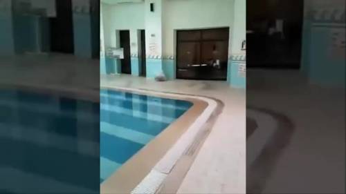 Sousse, ​il video dell'orrore: i cadaveri nell'hotel