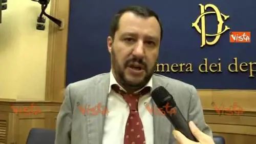 Salvini: "Tra poco toccherà all'Italia svendere i beni"