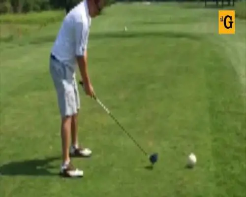 Golfista sbaglia il tiro e ammazza un gabbiano