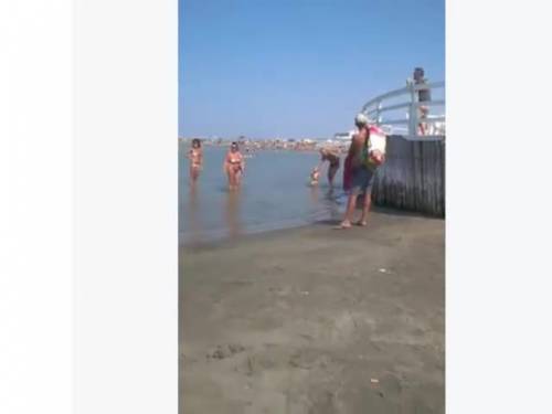 Porta il cane in acqua e viene ricoperta di insulti