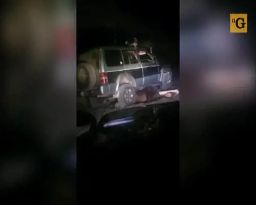 Orso investito da una jeep scatena la sua furia