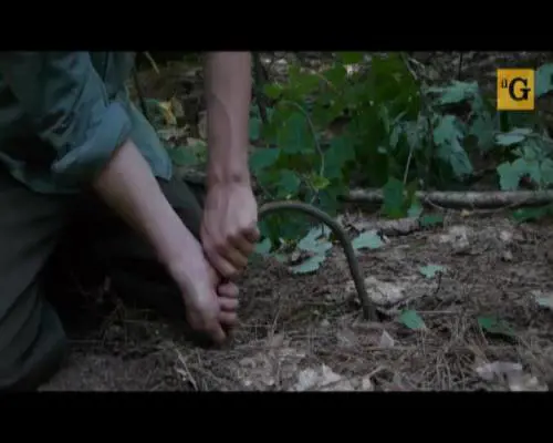 Come costruire una trappola per sopravvivere nel bosco