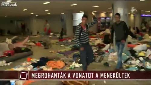 Ungheria, migrante choc fa gesto dei tagliagole