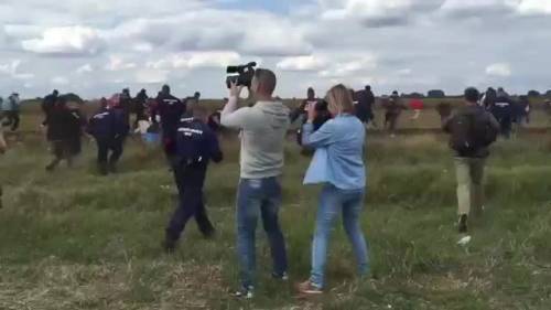 Reporter della tv ungherese sgambetta i migranti in fuga