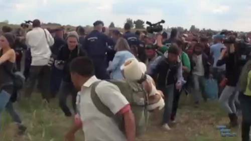 Reporter della tv ungherese prende a calci i migranti