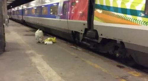 Rifiuti in stazione: spuntano le pantegane