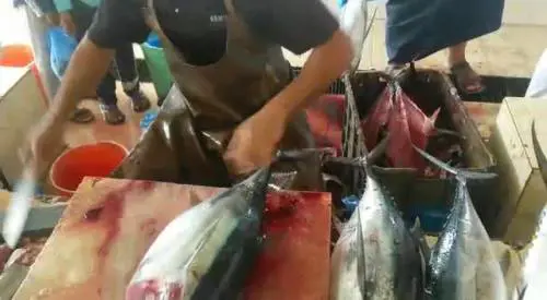 Il macellaio del pesce di Muscat