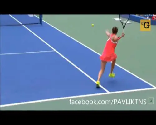 Vinci batte Williams: "Ora applaudite per me, cazzo!"