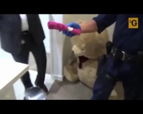 Australia, armi e denaro nascosti nell'orso di peluche