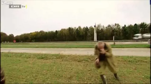 Liberano un falco ma viene investito da un camion