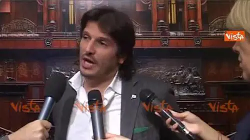 Ius soli, la Lega: "La sinistra importa immigrati"