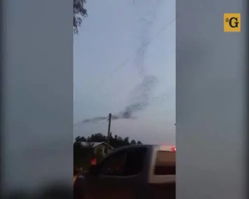 Un serpentone composto da milioni di pipistrelli solca i cieli thailandesi