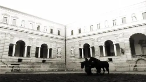 "Saga", film italiano in mostra a New York