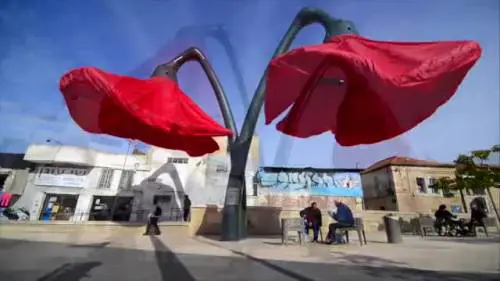 I papaveri che illuminano Gerusalemme