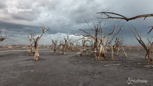 Epecuen, il villaggio fantasma alla luce dopo decenni sott'acqua