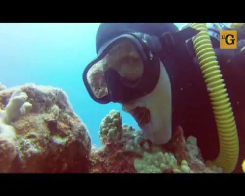 Pulizia dei denti in stile hawaiano