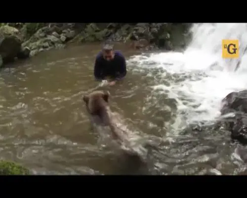 Il fotografo abbraccia l'amico orso