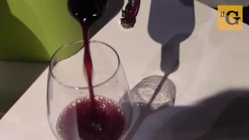 Premiata la Contessa del vino