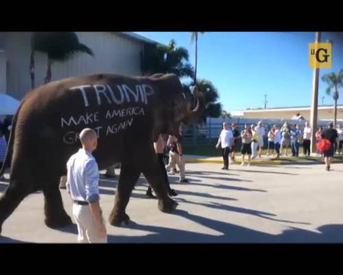 Elefante al comizio-circo di Donald Trump